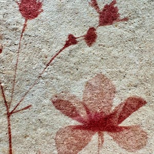 May include: A piece of textured, light beige paper featuring a botanical print in a deep reddish-brown ink. The design displays a single large five-petalled flower at the bottom centre, accompanied by slender stems with smaller buds.