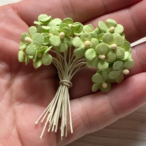 Papier fleurs vert et blanc