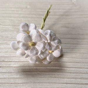 carta di gelso a piccoli fiori