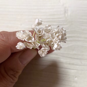 Fiori di carta di gelso bianco