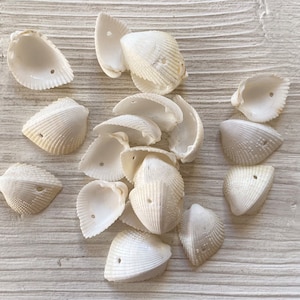 Weiße Muschelkernperlen