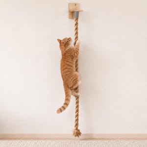 May include: A thick, natural-colored twisted rope climbing toy for cats, suspended from a light-colored wooden wall-mounted bracket. The rope features a gray connector at the top and a frayed end at the bottom, providing a vertical surface for climbing.