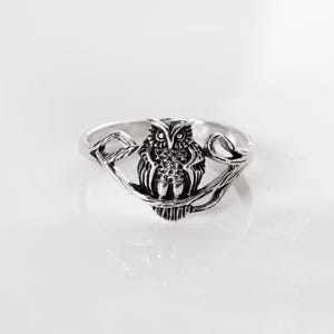 Peut inclure: Une bague argentée représentant un hibou détaillé perché sur une branche. Le hibou est centré sur l'anneau, avec ses ailes repliées contre son corps et ses yeux clairement définis. Le métal a une finition polie avec des zones en creux.