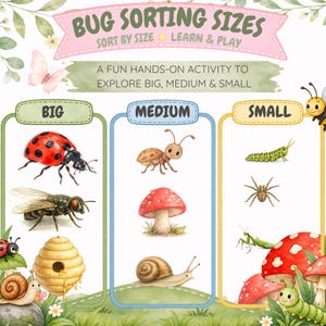 May include: An educational activity chart titled BUG SORTING SIZES with the text SORT BY SIZE LEARN & PLAY and A FUN HANDS-ON ACTIVITY TO EXPLORE BIG, MEDIUM & SMALL. It features illustrations of insects and mushrooms categorized into three columns.