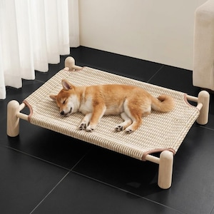 May include: A rectangular elevated pet bed featuring a light-colored woven mesh surface stretched across a smooth, light-toned wooden frame with four rounded corner posts. A small, tan-colored dog is sleeping on the center of the mesh surface.