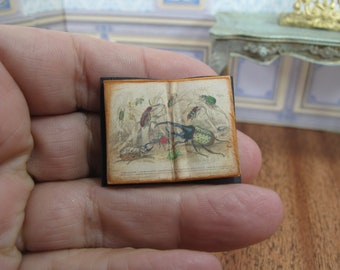 Miniature Open Antique book - Garden of Wonders Open Butterfly Book for Your Mini World. Miniature Ephemeroptera Book. Handmade Vintage book