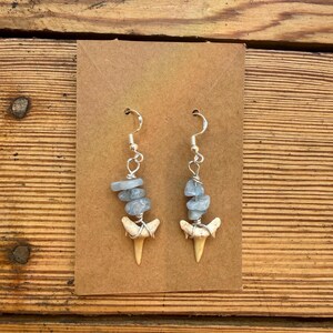 Brincos artesanais de dente de tubarão fossilizado, em tons de azul claro, estilo boho com detalhes em prata.