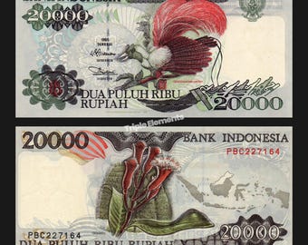 1995 Indonesia 20000 Rupiah Cenderawasih Merah Bird of Paradise Banknote | Rare Old Money Collectible