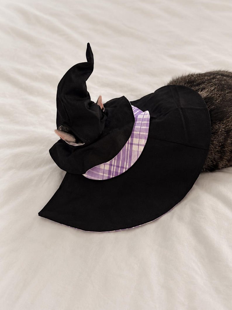 May include: A black witch hat featuring a pointed crown and a wide brim. The hat includes a decorative band of purple and white plaid fabric around the base of the crown, with the same plaid pattern visible on the underside of the brim.