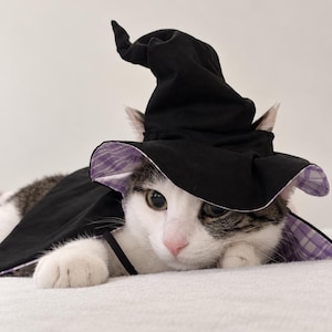 May include: A cat wearing a black pointed hat with a purple and white plaid lining. The hat has a wide brim and a slightly slumped top. The cat has white and grey fur, visible ears, and a pink nose, with the hat resting over its head and ears.