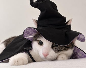 Pet Witch Hat and Cape Set | Handmade Halloween Wizard Pet Costume | Personalized Cat Witch Outfit | Spooky Photo Prop