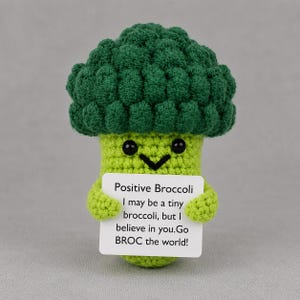 May include: A crocheted broccoli figure with a dark green textured top and a light green stem. It has black bead eyes and a stitched smile. The figure holds a white rectangular sign that reads: Positive Broccoli I may be a tiny broccoli, but I believe in you. Go BROC the world!