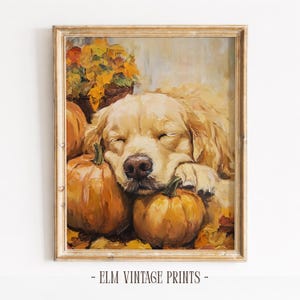 Puede incluir: Una impresión de pintura al óleo en un marco de madera que muestra a un golden retriever descansando su cabeza sobre calabazas naranjas. La obra presenta pinceladas texturizadas, colores otoñales cálidos y el texto ELM VINTAGE PRINTS abajo.
