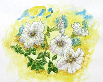 Original Contemporary Watercolor ~ "White Petunias "  ~ Botanical series