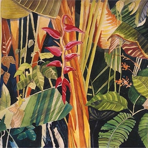 Costa Rica ~ Archival Prints of Original  Watercolor ~ "La Paloma Rainforest" .