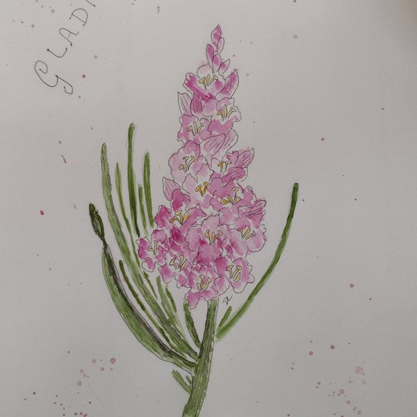 ooak Watercolor PINK GLADIOLUS Flower 50% for Canine Companions for Independence/Service Dogs Charity