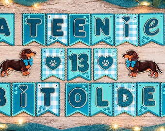 Dachshund A Teenie Bit Older Birthday Banner