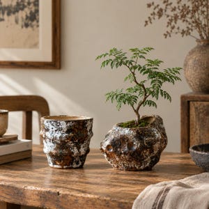 May include: Two ceramic planters with a rugged, textured finish in shades of dark brown, black, and white. One planter is cylindrical with a stepped profile, while the other is rock-shaped and contains a small green plant with delicate foliage.