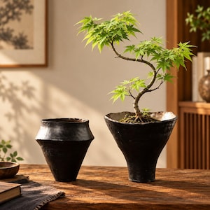 Puede incluir: Un pequeño arce japonés con hojas de color verde vibrante plantado en un cuenco de cerámica negra de borde ancho, junto a un recipiente de cerámica negra vacío a juego con base cónica y borde acampanado e irregular.