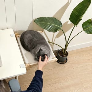 Hängmatta för katt i naturträ med klämfäste, hopfällbar sittpinne för sängen, platsbesparande sängmöbel