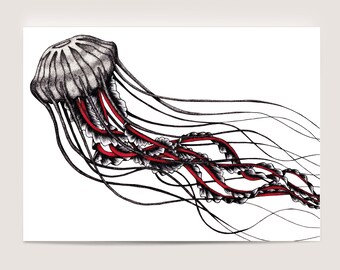 Jellyfish Mini Print Postcard, 5x7" | Underwater Sea Creature, Swimming Jellyfish Art Print for Ocean Lovers by Jenny Pond, JP Artwork