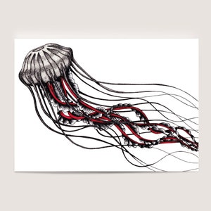 Mini carte postale d'impression de méduses, 5 x 7" | Créature de la mer sous-marine, impression d'art de méduses nageant pour les amoureux de l'océan par Jenny Pond, oeuvre d'art JP