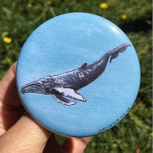 Blue Whale Badge | 58mm Metal Pin Badge | Pin Back Button | Endangered Marine Life Art | Cute Pin Badge | Jenny Pond, JP Artwork