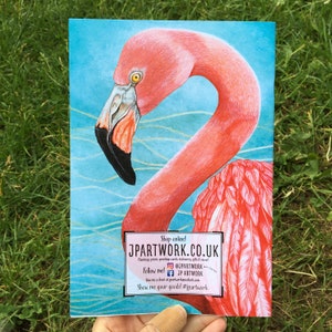 Flamingo Notebook, Flamingo Paperback Note Pad, Flamingo Gifts, Pink Stationery, A5 Bird Journal, Pink Flamingo Painting, Tropical Bird Art image 5