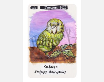 Kakapo Print Unframed, A5 Limited Edition, Signed Giclée Art Print on Hemp Paper, Cute Kakapo Art, Gifts for Bird Lovers, Bird Painting