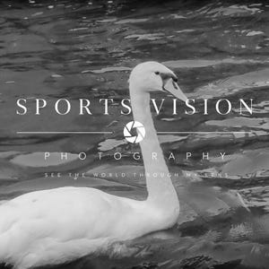 以下が含まれることがあります： 波打つ水面を泳ぐ白い白鳥のモノクロ写真。中央には「SPORTS VISION」の文字とカメラの絞りアイコンがあり、その下に「PHOTOGRAPHY」および「SEE THE WORLD THROUGH MY LENS」という文字がサンセリフ体で記されています。