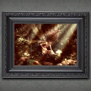 May include: A framed fantasy art print featuring a fairy with wings spread, sitting on a mushroom in a forest setting. The fairy is surrounded by a golden glow and the background is a soft brown and green.