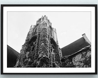 May include: Black and white photograph of a tall, ivy-covered stone tower with a pointed roof. The tower is framed by a black picture frame.