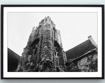 Northwestern University, Chicago Photography, Chicago Architecture, Ivy covered Tower, Chicago Prints