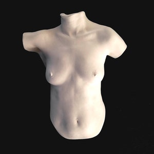 Female Torso Sculpture: White Body Casting, Limited Edition Wall Art