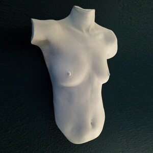 Female Bust Sculpture, Limited edition 1 of 10 Becca Briggs body casting , female body art sculpture image 7