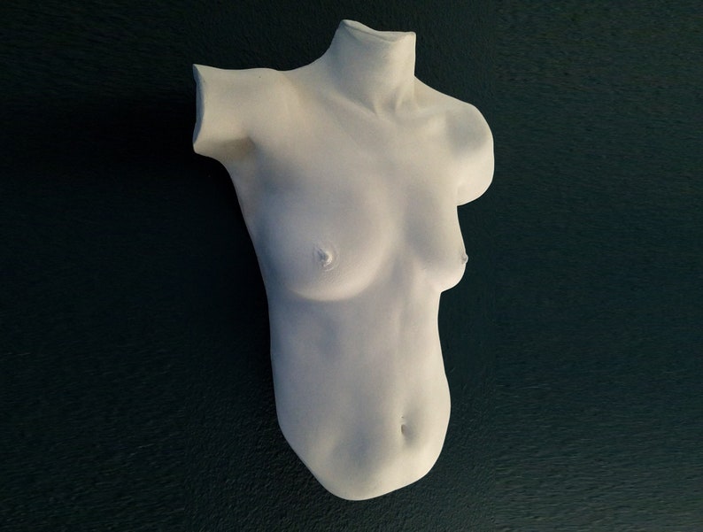 Female Bust Sculpture, Limited edition 1 of 10 Becca Briggs body casting , female body art sculpture image 7