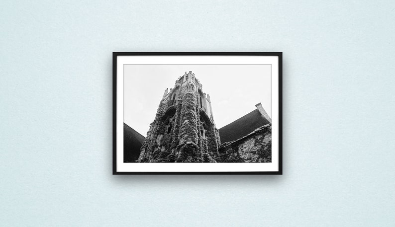 Northwestern University, Chicago Photography, Chicago Architecture, Ivy covered Tower, Chicago Prints image 1