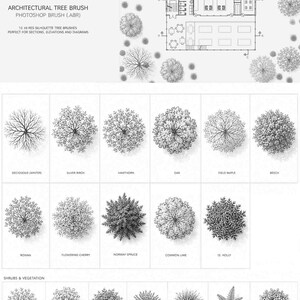 May include: A digital collection of architectural tree brushes for Photoshop, labeled as ARCHITECTURAL TREE BRUSH PHOTOSHOP BRUSH (.ABR). The image displays a grid of black and white top-down illustrations of various trees, shrubs, and vegetation.