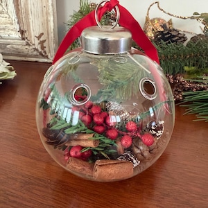 May include: A clear, spherical glass ornament featuring a silver metal cap and a red ribbon hanger. Inside the hollow globe are green pine needles, small brown pinecones, bright red berries, and several brown cinnamon sticks for decoration.