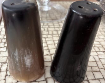 Vintage salt and pepper shaker set - horn