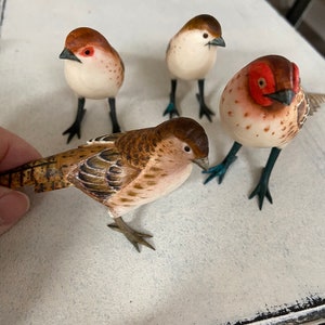 Flock of birds