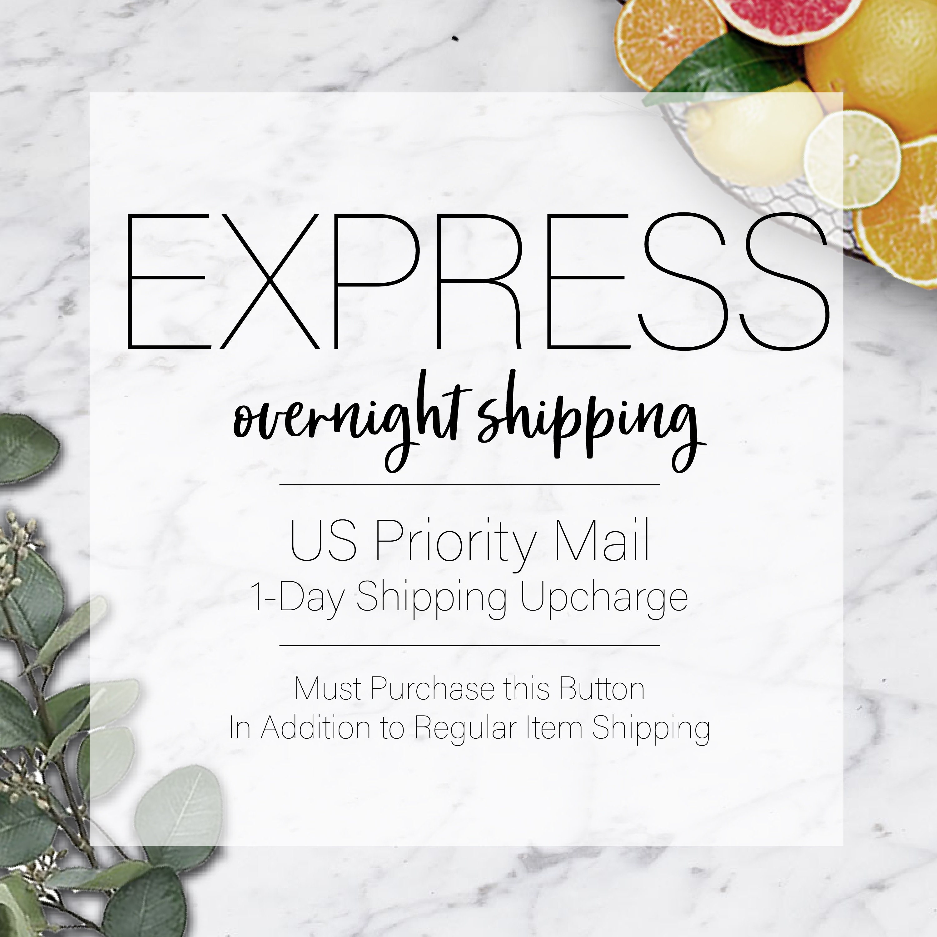 EXPRESS MAIL Overnight Shipping UpCharge / US Priority Express Etsy