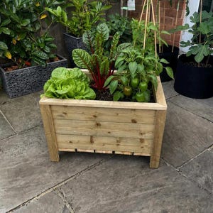 Pode incluir: Uma floreira retangular de madeira com acabamento natural em castanho claro, contendo um pé de alface verde, uma planta de acelga com caules vermelhos vibrantes e uma planta de pimento verde apoiada por estacas finas de madeira com pequenos pimentos.