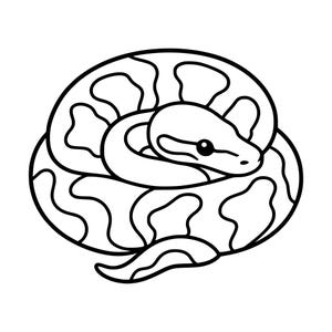 May include: A black and white line art illustration of a ball python coiled into a circular shape. The snake features a distinct pattern of irregular, rounded blotches across its body and a smooth, rounded head with a visible eye and nostril.