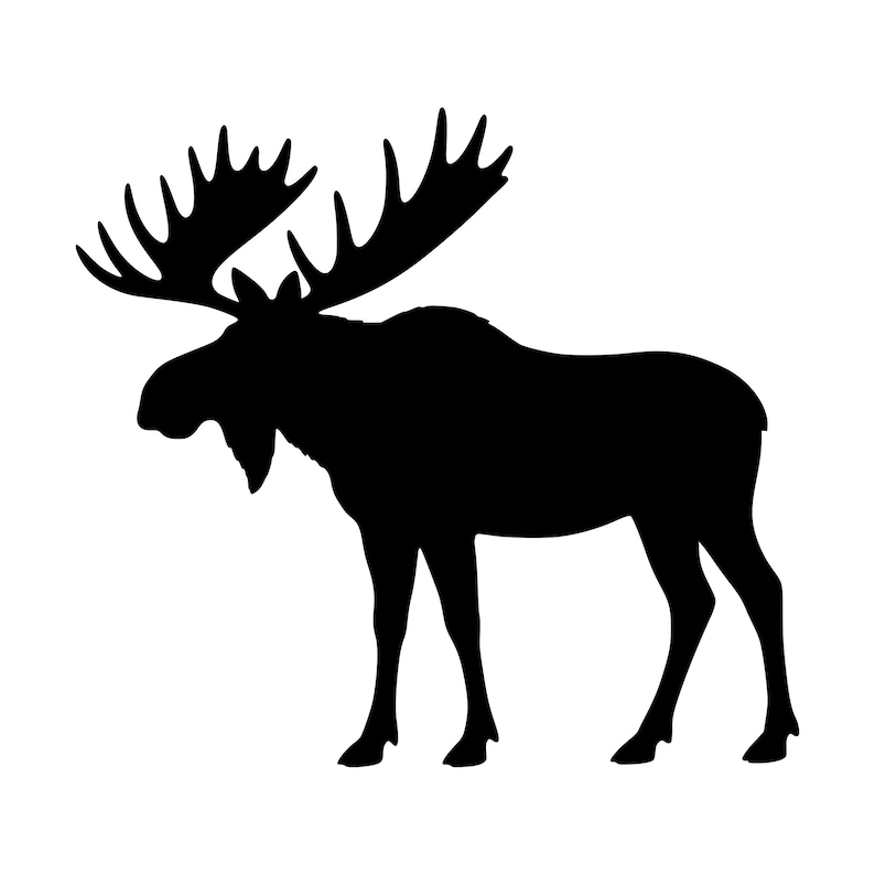 Moose Riders Svg Bull Moose SVG PNG, Wildlife Cut File for Cricut (digital Download) - Etsy