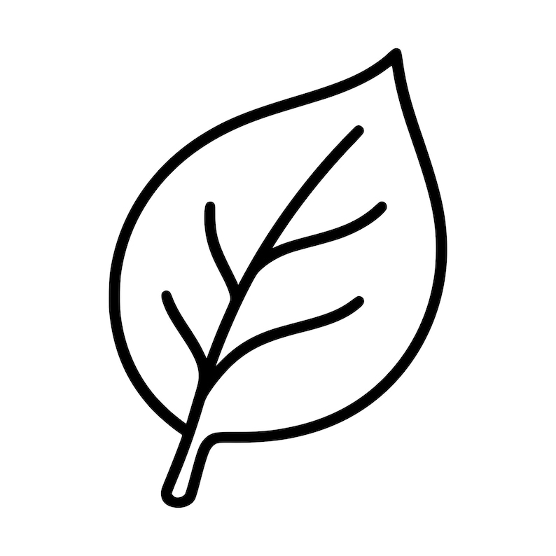 Simgle Cut File Single Leaf Outline Cut File (digital Download - Svg, Png, Dxf, Pdf) - Etsy