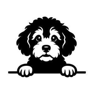 Peut inclure: Une illustration graphique en noir et blanc d'un chiot aux poils bouclés, aux grands yeux et au museau blanc. Le chiot est représenté du buste vers le haut, avec ses pattes avant posées sur une ligne horizontale, créant un effet de regard.