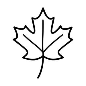 Peut inclure: Une illustration en noir et blanc au trait représentant une feuille d'érable. Le dessin présente une nervure centrale unique avec deux nervures latérales principales, entourées par les lobes pointus caractéristiques et une tige courte.
