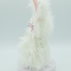 Frazzled Rabbit | Funny Rabbit | Frazzled Bunny | Easter Bunny | White ...