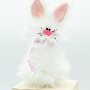 Frazzled Rabbit | Funny Rabbit | Frazzled Bunny | Easter Bunny | White ...